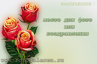 Шаблон форма для поздравлений пожеланий стихов с розами и надписью ПОЗДРАВЛЯЕМ на юбилеи и дни рожденья