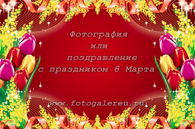 PSD шаблон фотооткрытки с мимозами и тюльпанами на 8 Марта.
